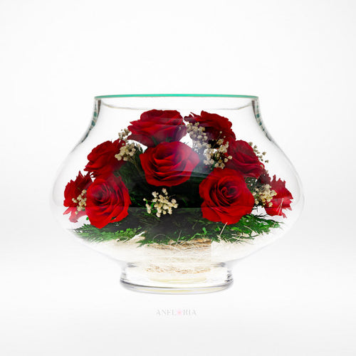Echte Blumen in einer Glasvase Rote Rose - LLR